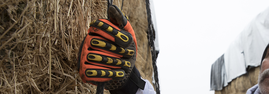 RefrigiWear’s collection of Premium Gloves include several with silicone dot Grip Assist on palms and fingers to boost your gripping power, so you can securely hold onto boxes, tools and equipment.